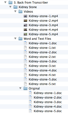 folder-structure-with-text-files